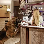 Tarjanne 모텔 비라트