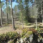 Tarjanne 모텔