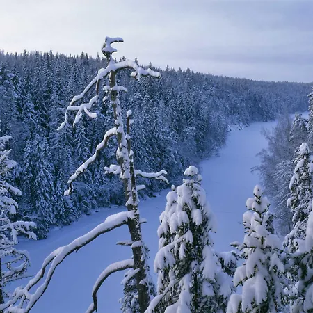 Tarjanne Μοτέλ Virrat