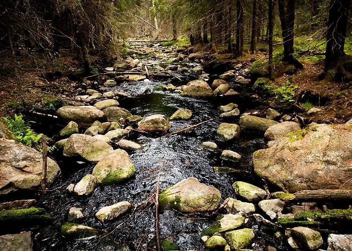 Tarjanteen Talo Virrat