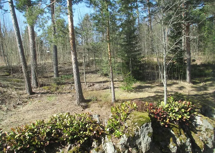 Tarjanteen Talo Motelli